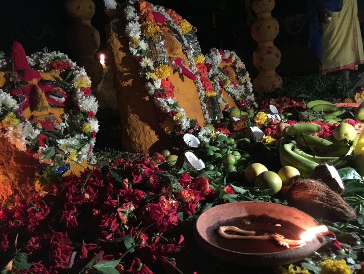 indian astrologer in bay area