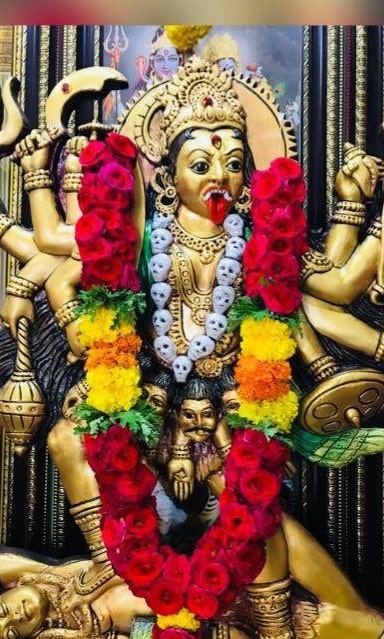 indian astrologer in bay area