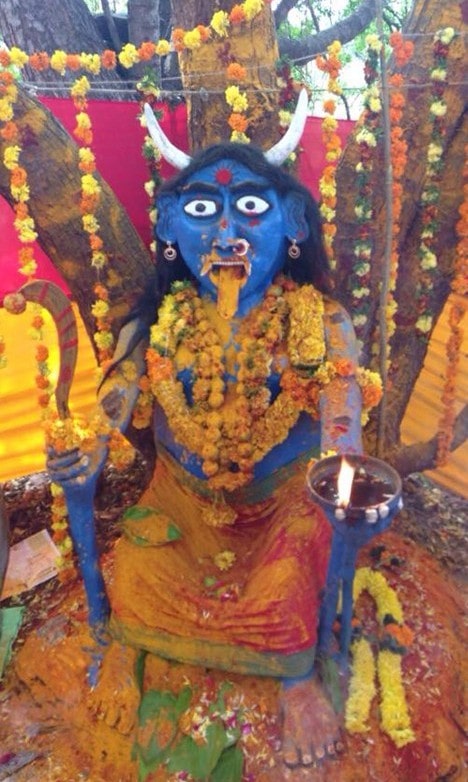 indian astrologer in bay area