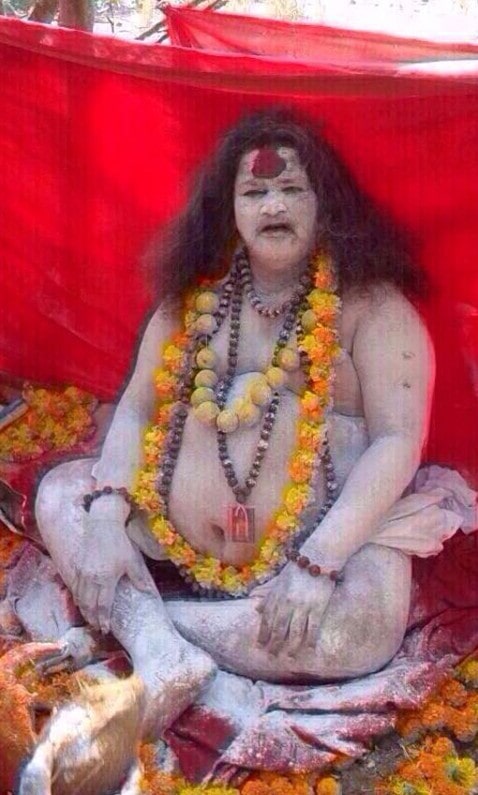 indian astrologer in bay area