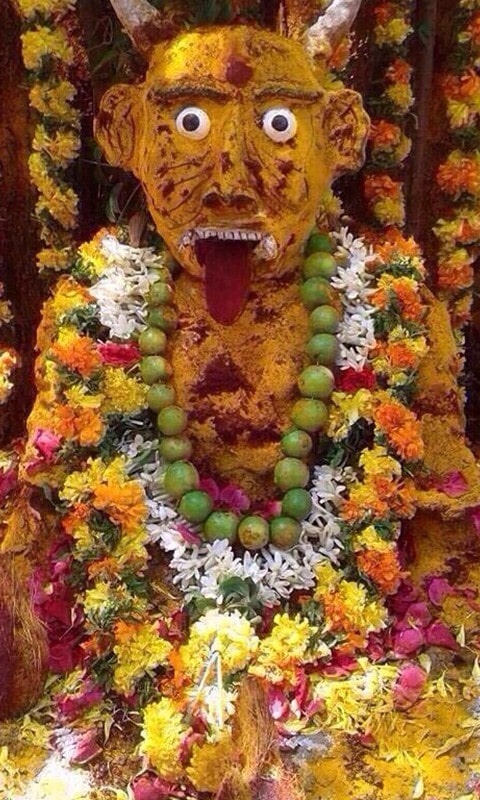 indian astrologer in bay area