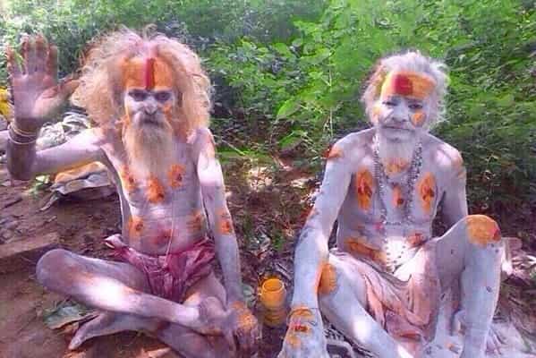 indian astrologer in bay area