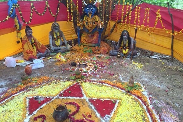 indian astrologer in bay area