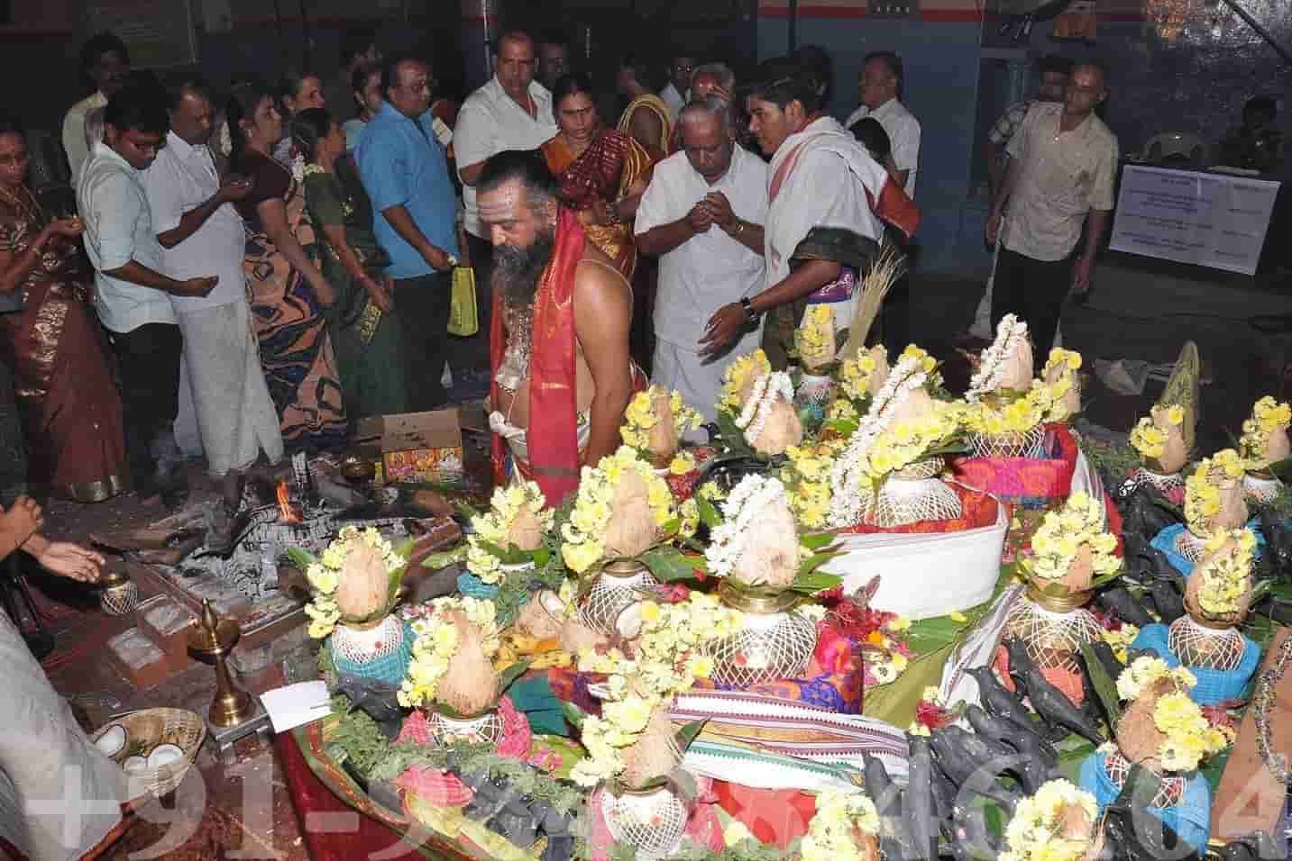 indian astrologer in bay area