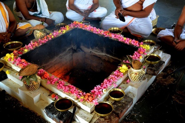 indian astrologer in bay area